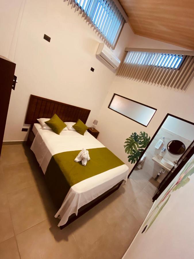 Casa Macaw Apartment La Fortuna Ngoại thất bức ảnh