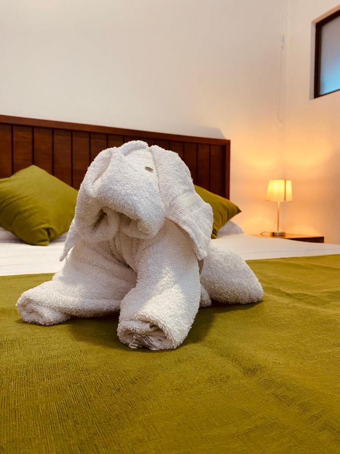 Casa Macaw Apartment La Fortuna Ngoại thất bức ảnh